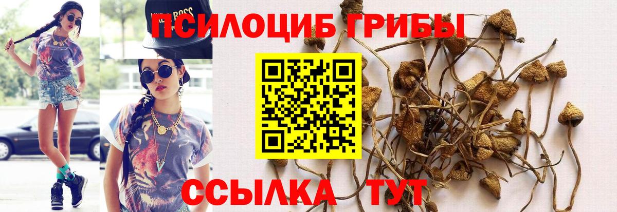 Ивантеевка  ТГК  КОКАИН  Вход с VPN  ЭКСТАЗИ  Меф МЯУ МЯУ кристаллы  Гашиш  ГАШИШ  Каннабис 