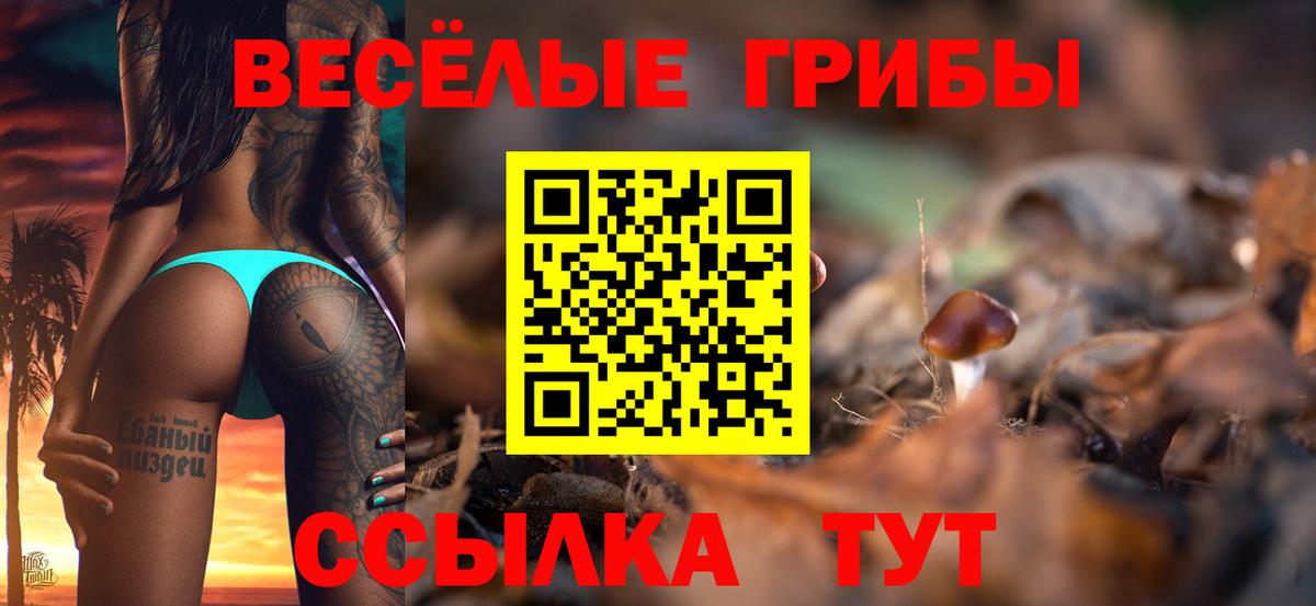 Псилоцибиновые грибы Psilocybine cubensis Ивантеевка